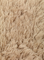 FL1104264658